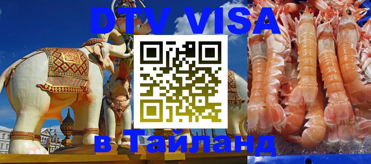 Оформление DTV визы под ключ: стоимость и тарифы, только загранпаспорт - 05.12.2025 